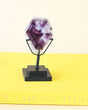 Rare Trapiche Amethyst on Stand