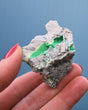 Arkansas Variscite in Matrix