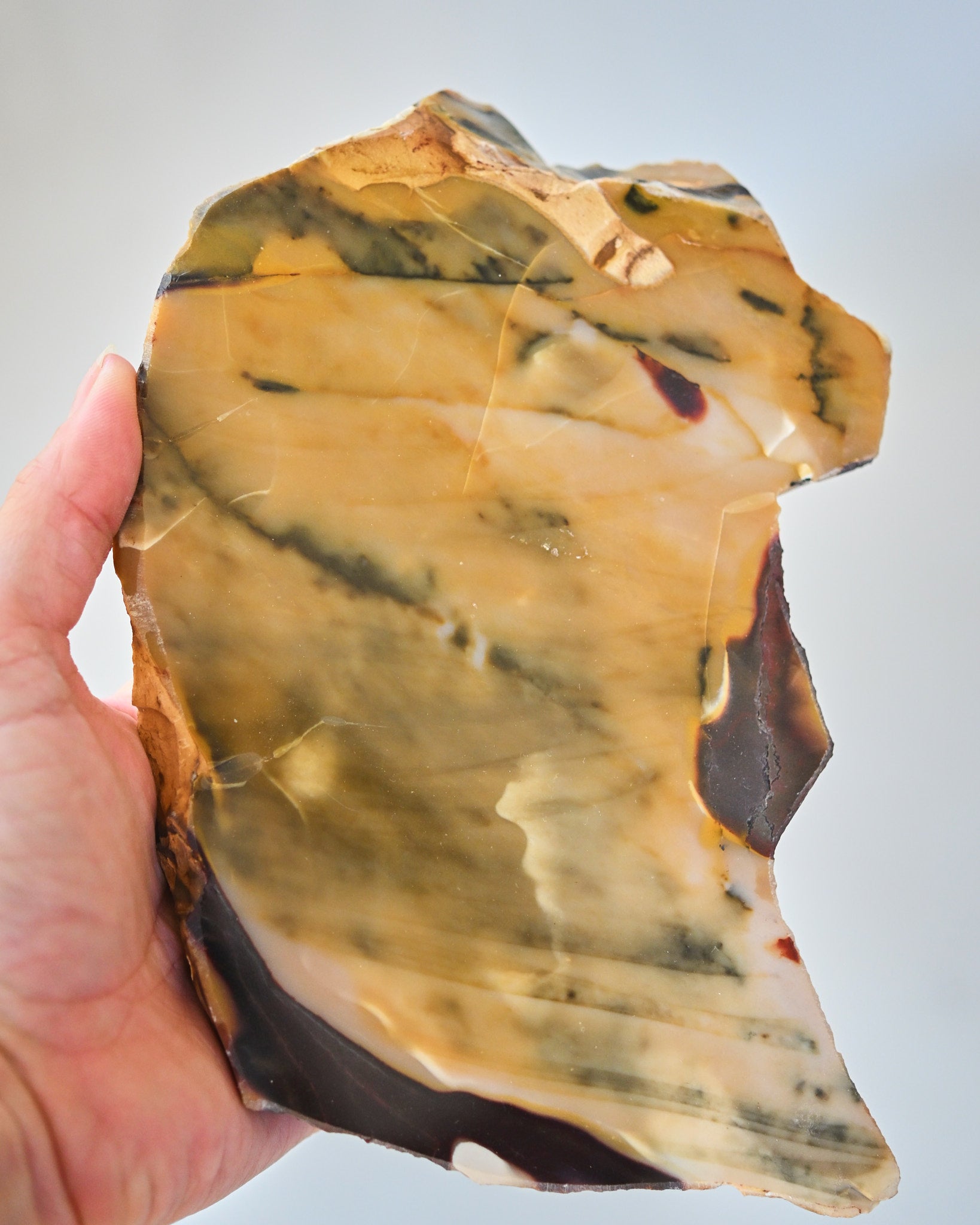Mookaite Jasper Slab 8in