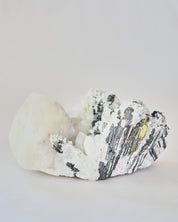 Hubnerite with Quartz 6 inch