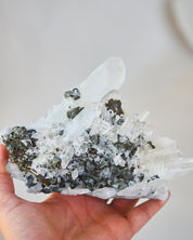 Hubnerite with Quartz 6 inch