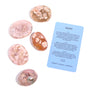 Flower Agate Palm Stone