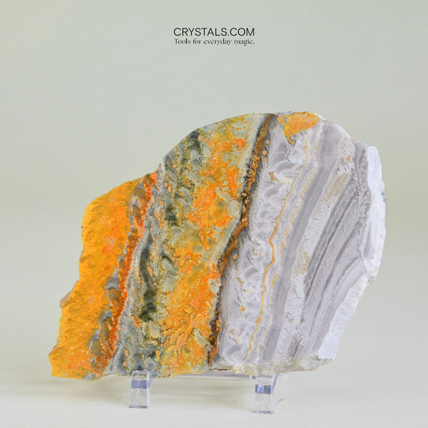 Bumblebee Jasper Slab