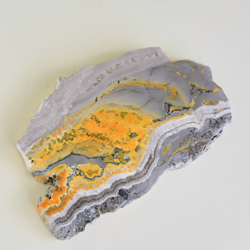 Bumblebee Jasper Slab