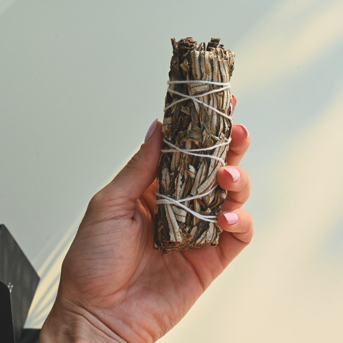 white sage cleanse kit