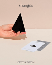 what is shungite stone