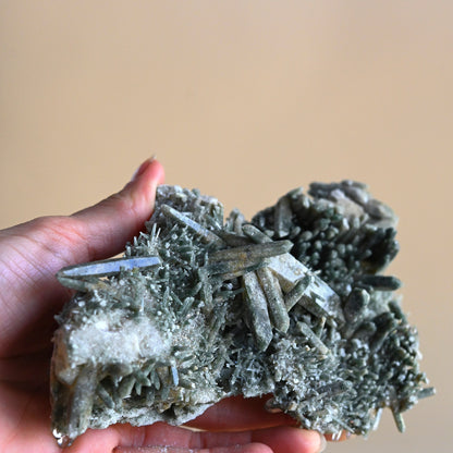 Chlorite Himalayan Quartz Cluster 