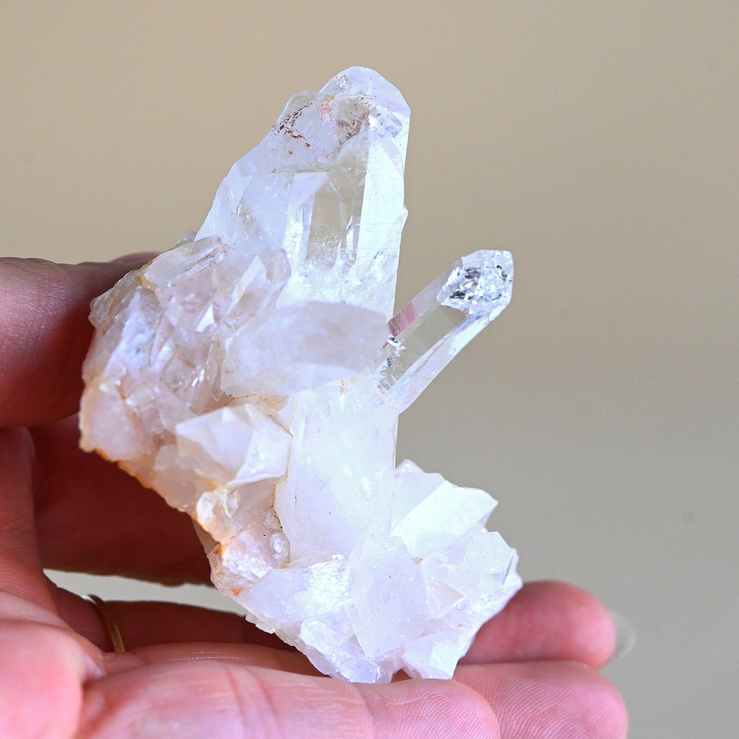 Himalayan Cluster 2.5 Inch