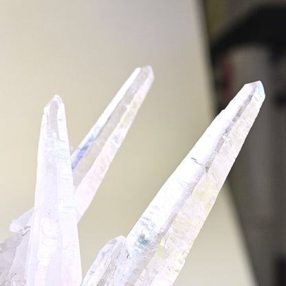 Rare Lemurian  Laser Quartz Cluster 7 inch