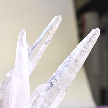 Rare Lemurian  Laser Quartz Cluster 7 inch