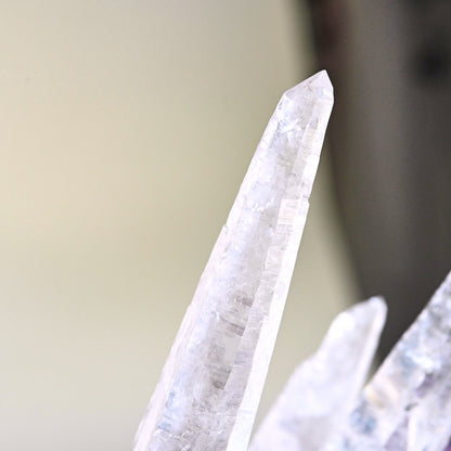 Rare Lemurian  Laser Quartz Cluster 7 inch