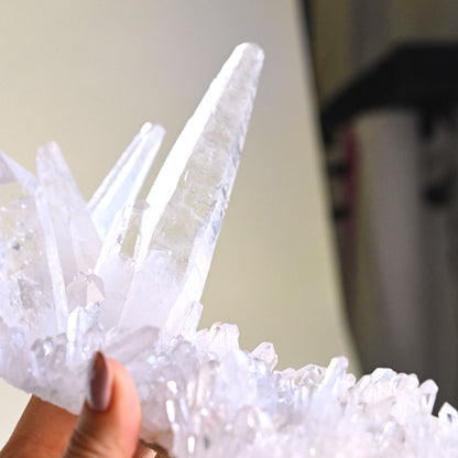 Rare Lemurian  Laser Quartz Cluster 7 inch