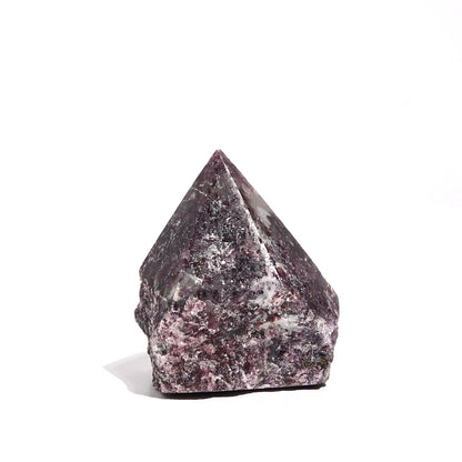 Lepidolite Rough Polished Points