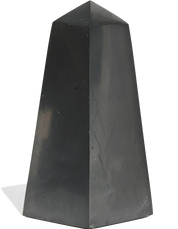 what does shungite do